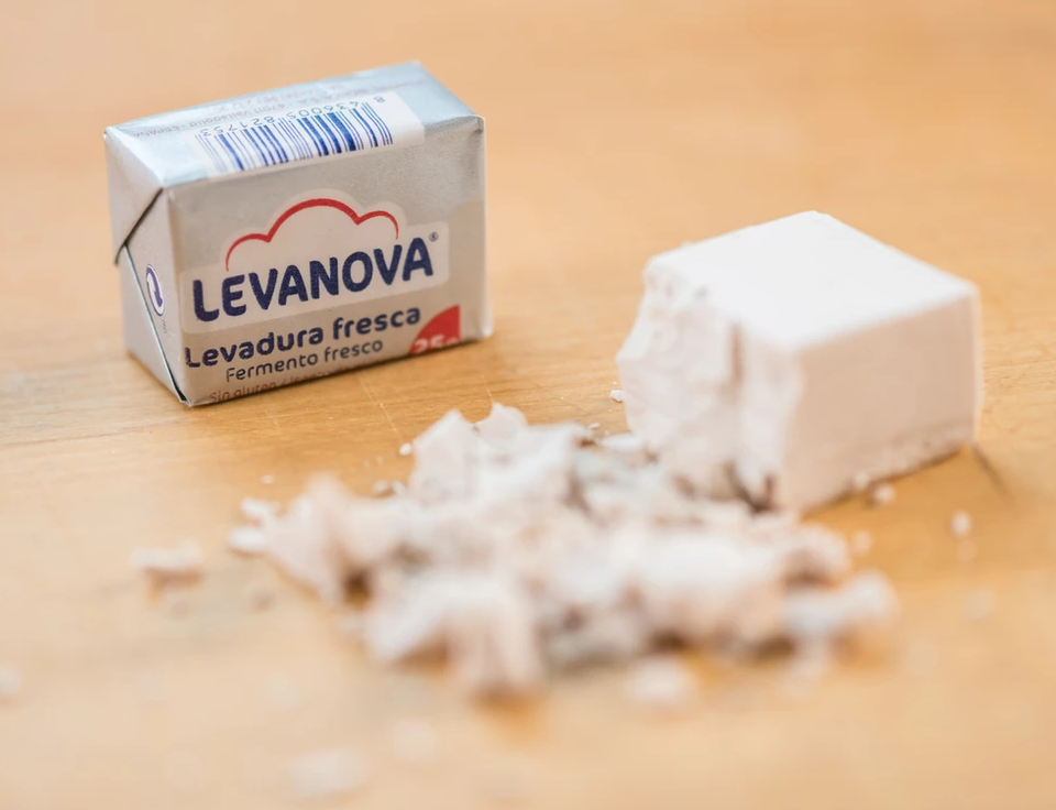 Dados de levadura fresca de Levanova