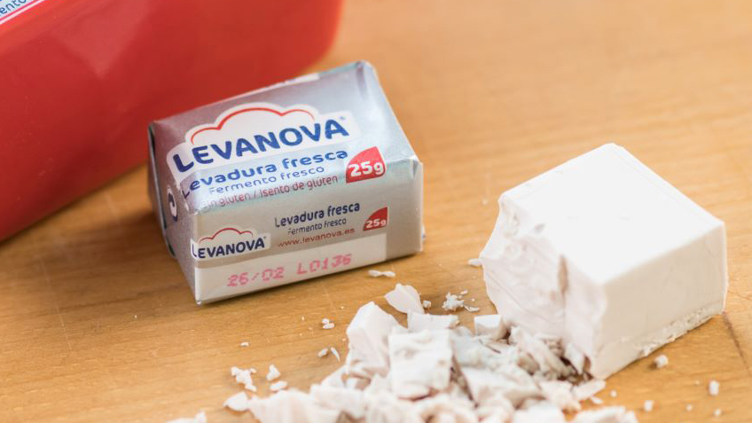 Dado de levadura fresca de Levanova