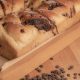 Receta babka casera